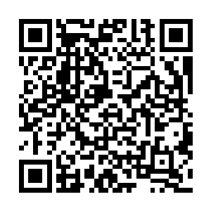 蓝色的巨拳和真气形成的九个龙头怪兽狠狠的撞击在一起二维码生成