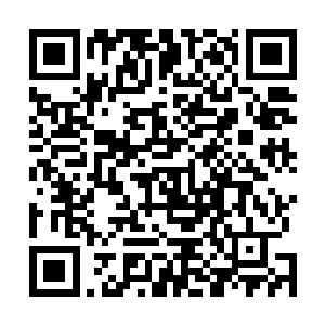 蓝蓝一向认为罗敷口中的郎君就该是自己梦中的夫婿才对二维码生成
