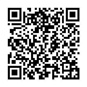 蓝虎旗大统领战如意被苗毅直接调来了黑龙司任中军大统领二维码生成