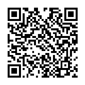 蕴藏在这个白衣少年身躯之内的能量竟是乎想象的巨大二维码生成