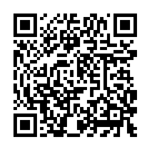 薛二夫人明显感觉到薛三覆在她手背上的手明显一紧二维码生成