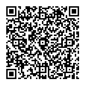 薛泽宇出面与德国教育部联合向爱因斯坦发出了邀请函邀请爱因斯坦出席一个中德联欢的晚会二维码生成