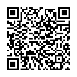 藏身在距离黑龙殿不足五百里的一片海树丛林之中二维码生成