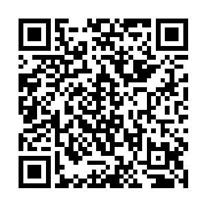 藤蔓已经可以按照张潇晗的意愿生长出藤蔓牢笼起来二维码生成