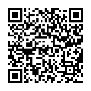 虎鲸是很有智慧也时很灵性的动物似乎也觉察到了这一点儿二维码生成