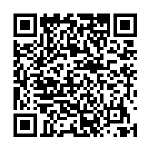 虽然不知道现在回来的这些人为什么没有搜出人来二维码生成