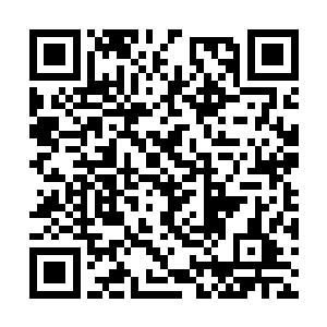 虽然不知道许紫烟什么时候收服了一只紫级融合兽二维码生成