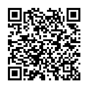 虽然之前我也在其他的三四级城市里面发现过铠甲二维码生成