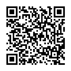 虽然也知道他为了保护那些化而收录了许多的古籍二维码生成