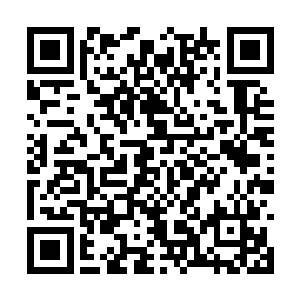 虽然人们偶尔还会提起这个曾经南天域的第一天才二维码生成