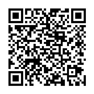 虽然他们对轮回殿殿主的实力已经是往很高的方向去预估了二维码生成