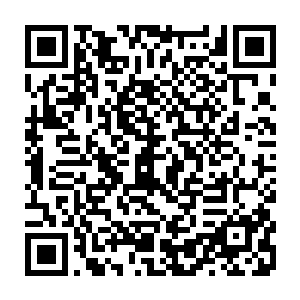 虽然偶有人良心发现觉得这个名字不利于世子殿下的高大威武的光辉形象二维码生成