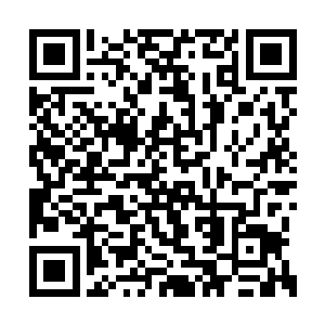 虽然到最后他们发现理想和现实相差太远而失望二维码生成