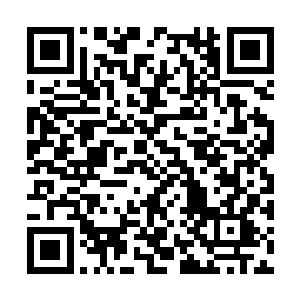 虽然可以极大程度提升他对元素系异能的防御能力二维码生成