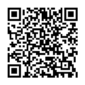 虽然叶楚承诺只要和他对战就放弃杀雨雾族弟子二维码生成