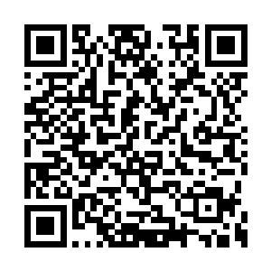 虽然在场众人都知道流焰有七成可能在胡搅蛮缠二维码生成