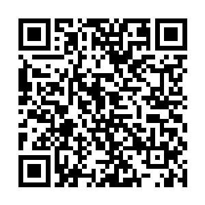 虽然在基地的修建中所有材料和建设值都是自己出的二维码生成