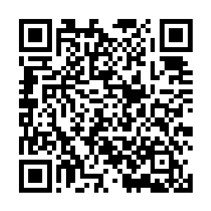 虽然在新闻中已经得知今天这场婚礼权贵可能会来不少二维码生成