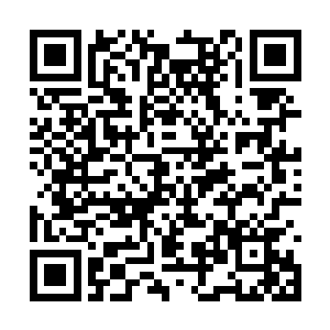 虽然基本可以确定他们不会再受那血道禁制的反噬二维码生成