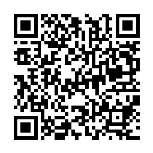 虽然她们平时私底下没有少聊那个男艺人长的好看二维码生成