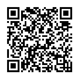 虽然她所讲的的确是魔灵草的几个显著特征和后果二维码生成