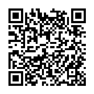 虽然好奇大师兄怎么跟那天罗府的二长老有说有笑二维码生成