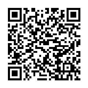 虽然手机连接的设备似乎显示的确有人不停在嗅探这台手机二维码生成
