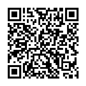 虽然经历了千万年的变化很多东西都跟她认知的那些不同二维码生成