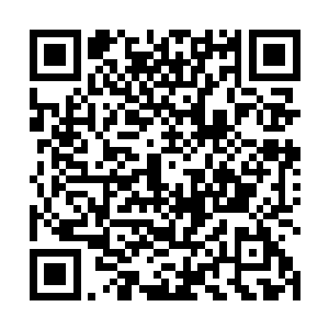 虽然萧雨知道东方可有可能不是自己家里能够惹得起的二维码生成