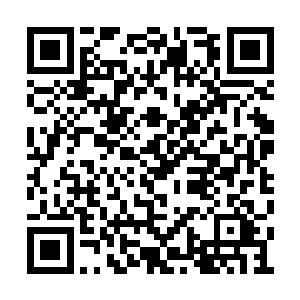 虽然表面上看起来和普通的华夏人没有什么区别二维码生成