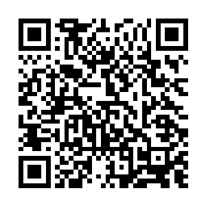 虽然说之前的时候已经猜测龙傲天炼制出来的东西不一般二维码生成