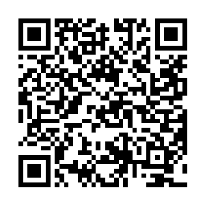 虽然说以前雨果就清楚地知道这是一个利益至上的社会二维码生成