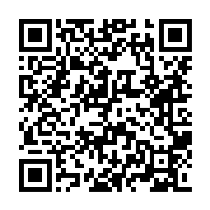 虽然说理论上一颗上品元石相当于十颗中品元石二维码生成