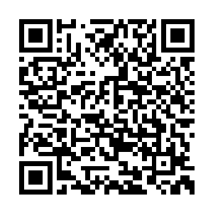 虽然说这家伙有刻意跟周可儿对着干的吹捧嫌疑二维码生成