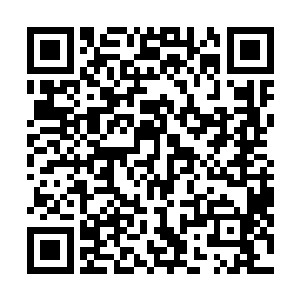 虽然说龙傲天身上也有可以领自己体内的能量恢复的灵果二维码生成