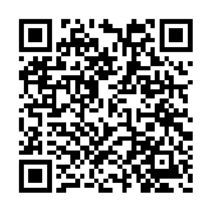 虽然这样子硬生生的提高修为会使木洛根基不稳二维码生成