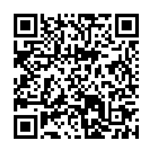 虽然那些苟活下来的虚王境们在最后关头联手一次二维码生成