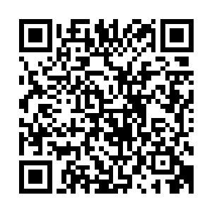 虽然那时候她就知道雪如楼和绵老头似乎并不是纯粹的对待她二维码生成