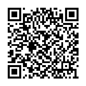 虽说莫小七没有直接说出那陨落的大人到底是谁二维码生成