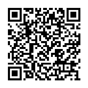 虽说那般血腥的场面确实叫人肝胆俱裂魂飞魄散二维码生成