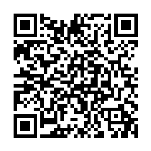 蛋圆圆抬头望着高度可以让她扭断脖子的天空竞技场二维码生成