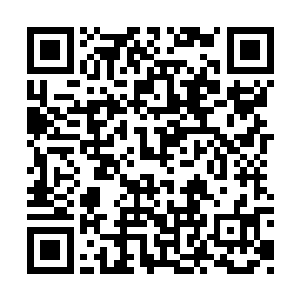 蝙蝠装在近战中几乎已可让穿着者立于不败之地二维码生成