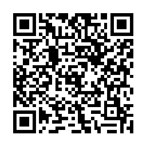血月魔熊可以说是整个七角山脉外围最值钱的灵兽二维码生成