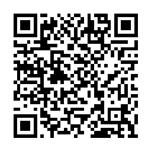 血柱和血浆在半空中凝聚成一道张牙舞爪的血雾二维码生成