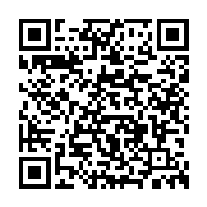 血炎兽就是有其中的冤魂和火焰凝聚而成的怪物二维码生成