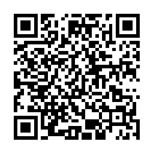 血腥玛丽的杀手都属于机会把握稍纵即逝的机会的那种人二维码生成