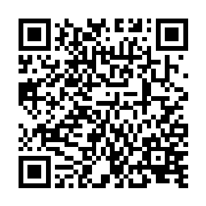 街上又重演上次经过时的场景――人们风一般卷入自己家二维码生成