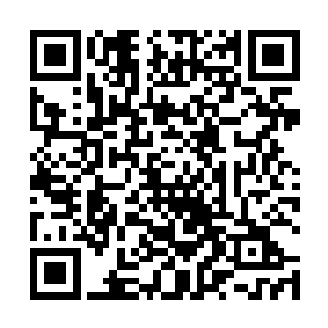 补天石大陆那边的各个海岛修仙势力也都开始布设大阵二维码生成