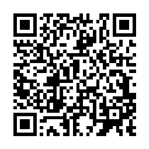 表面上叶筱筱却依旧一副温婉端庄的大家闺秀模样二维码生成