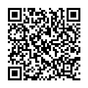 表面上唯命是从天从府主事暗地里也有自己的打算二维码生成